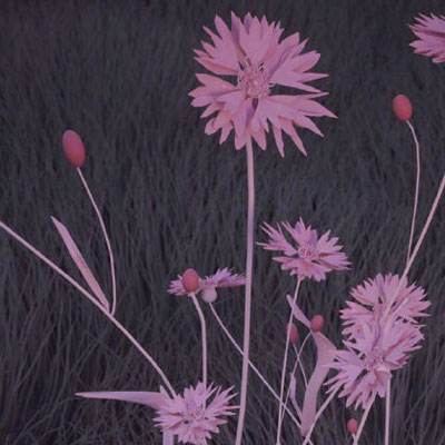 ag入口官网登录下载手机版