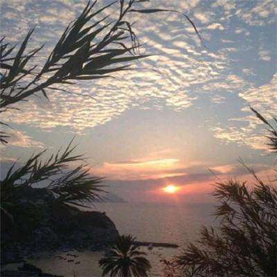 奇异果体育手机app下载