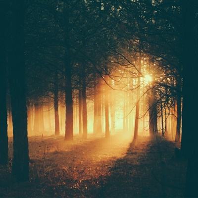 足球游戏下载手机版