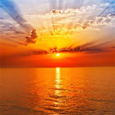 kaiyun·开云app下载截图